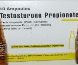 Beställ | Köp testosterone propionate