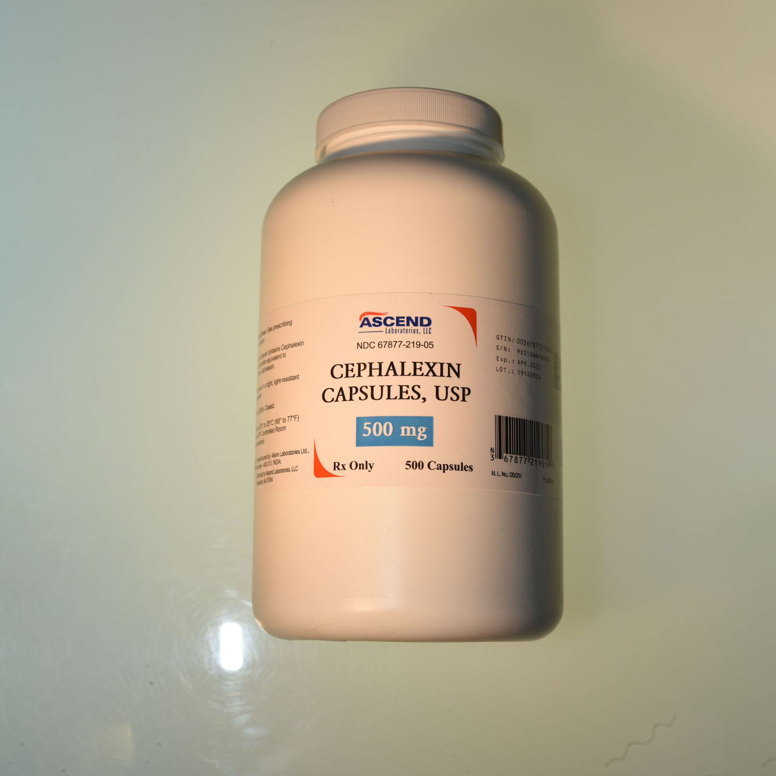 cephalexin | cephalexin 500 mg
